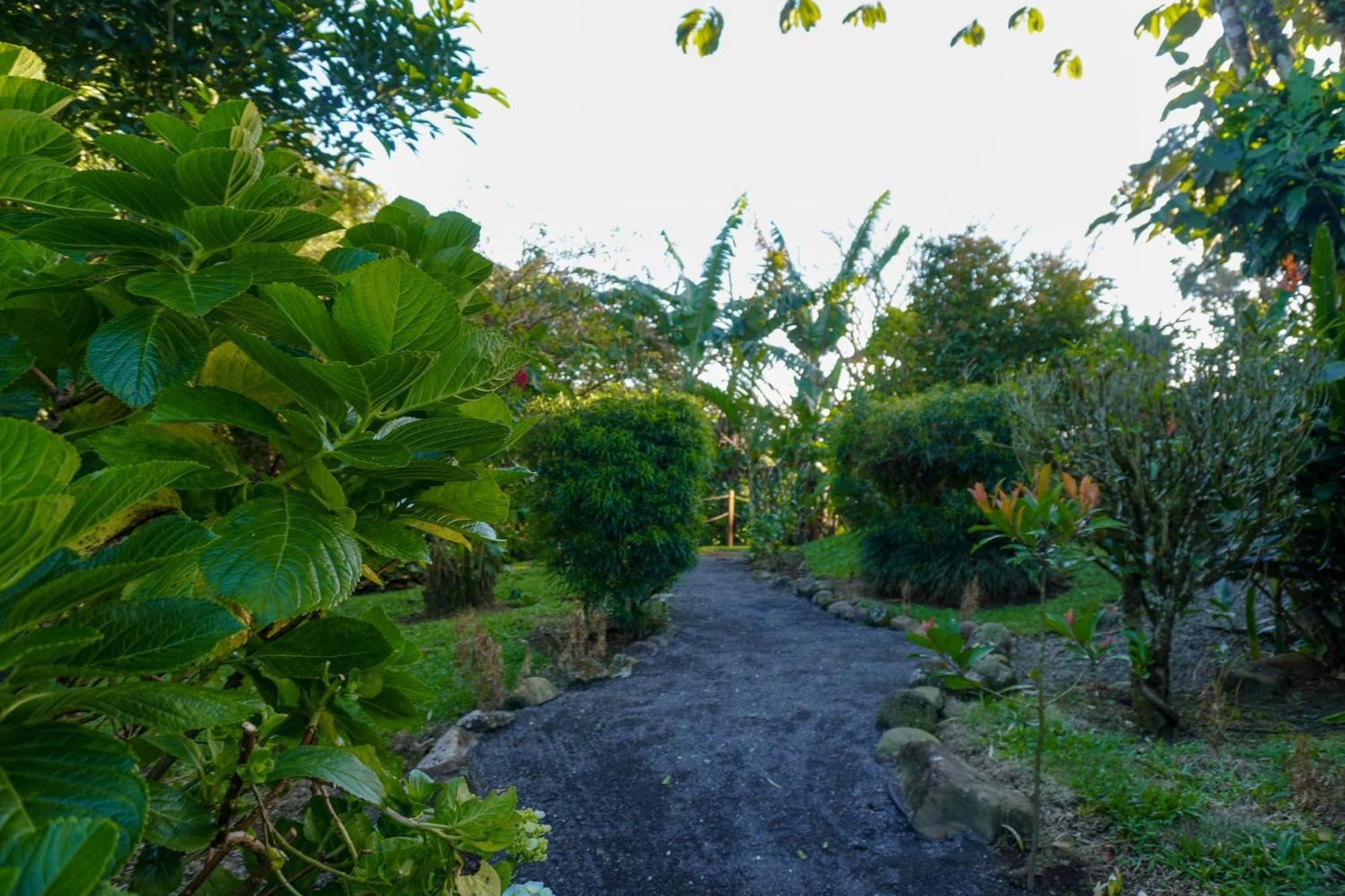 Sueño Río Celeste B&B Bijagua Exterior foto